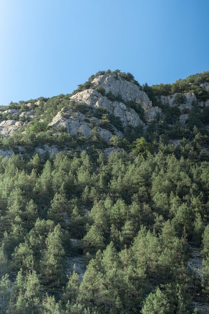 Photograph by Артём Гуцалюк