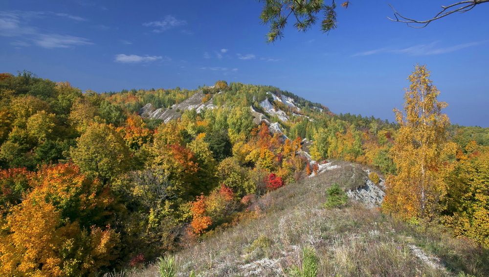 Осенний лес в Жигулях