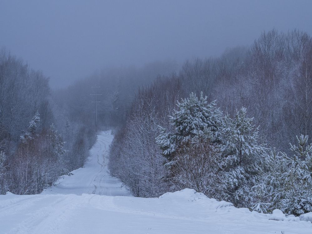 Photograph by Надежда Михайлина