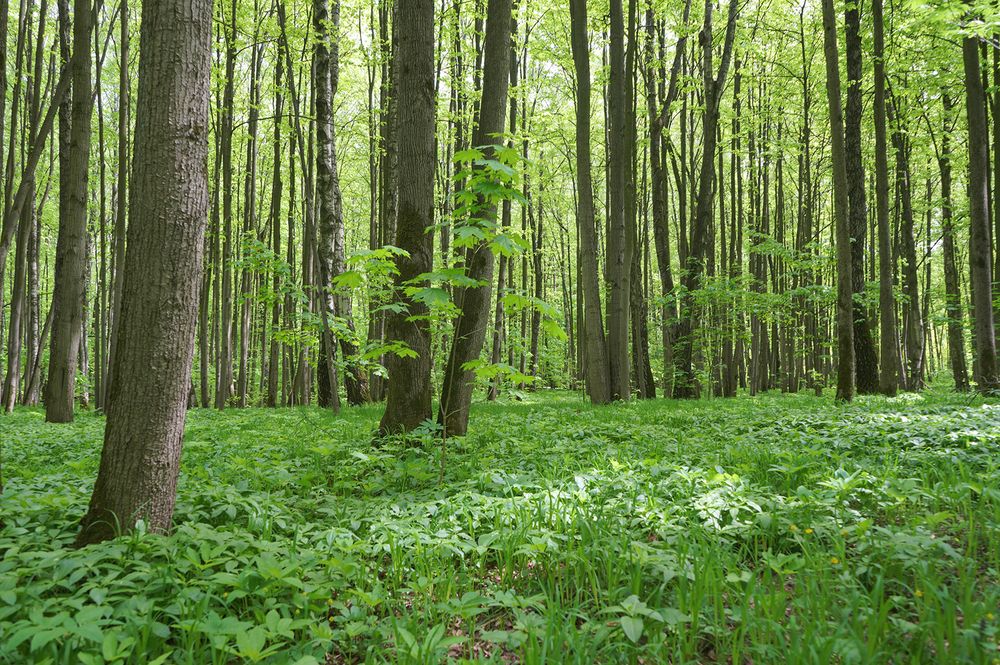 Photograph by Виктория Лаврова