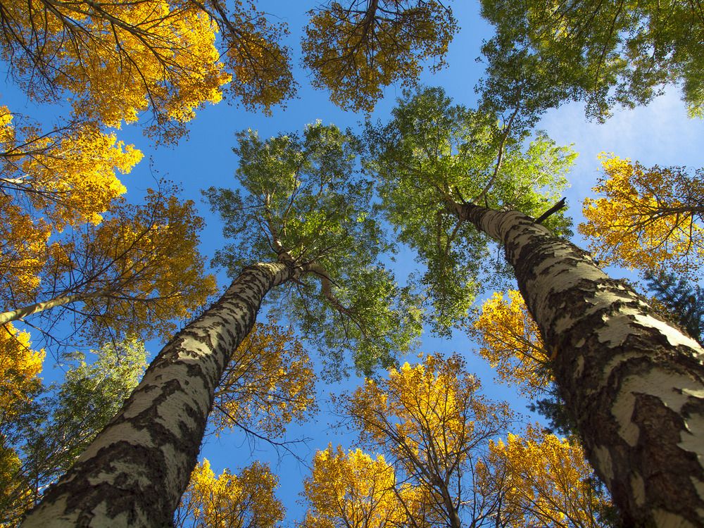 Photograph by Александр