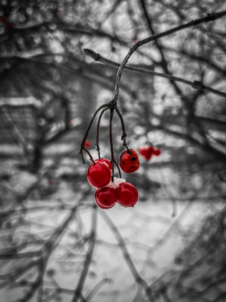 Photograph by Мария Петровцева