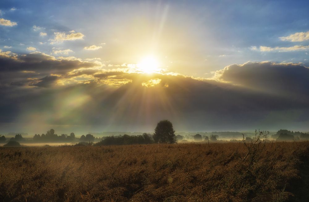 Photograph by Андрей Ныриков