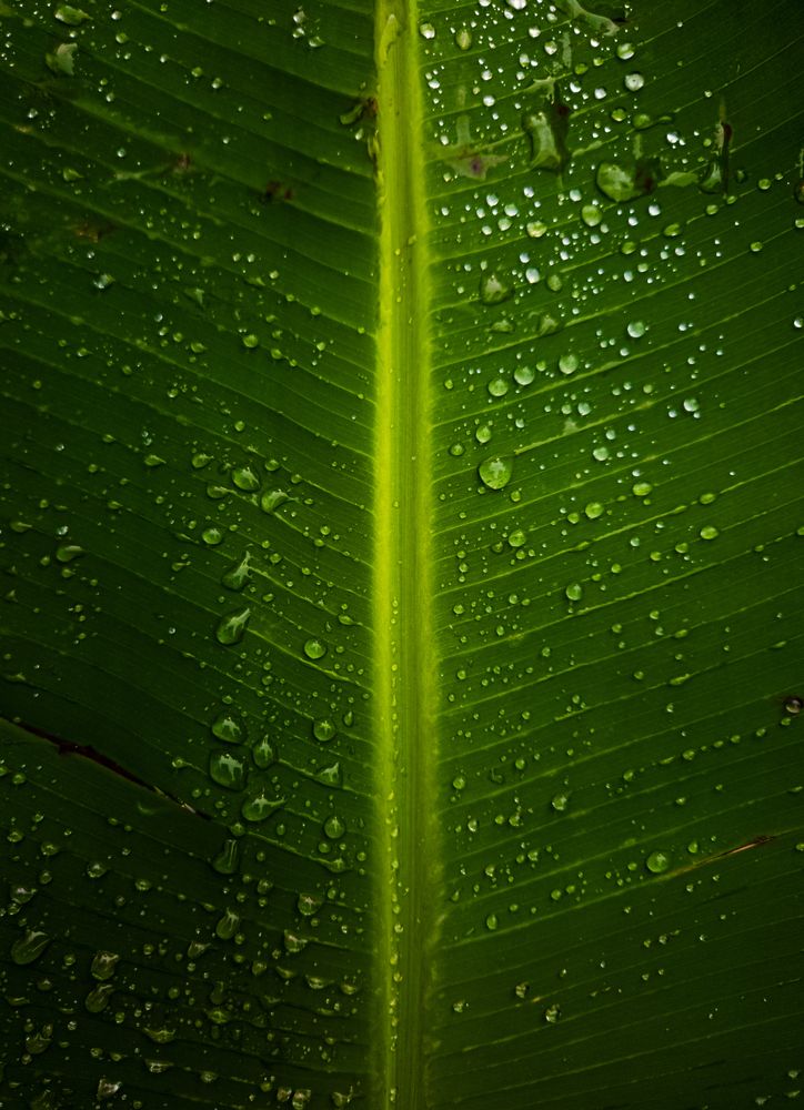 Photograph by Carlos Macias