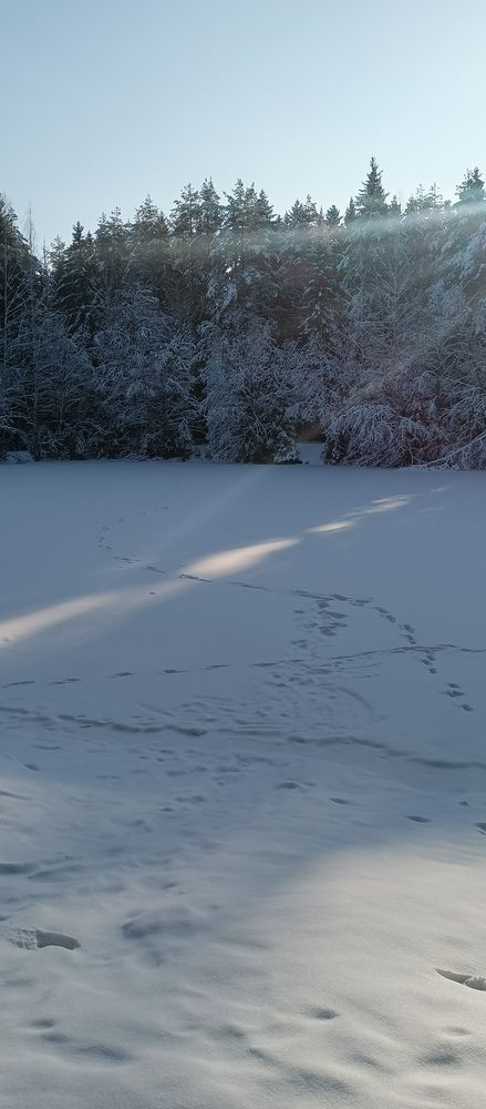 Photo #11846230