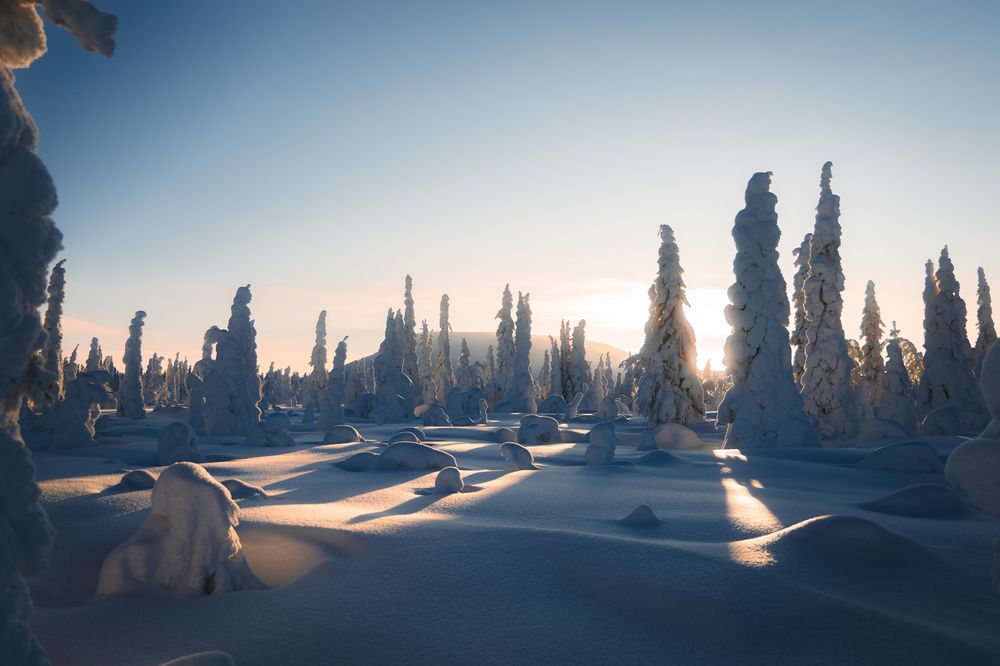 Фотография автора Вячеслав Бобин