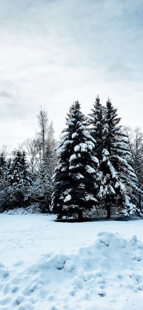 Фотография автора Василиса Новикова