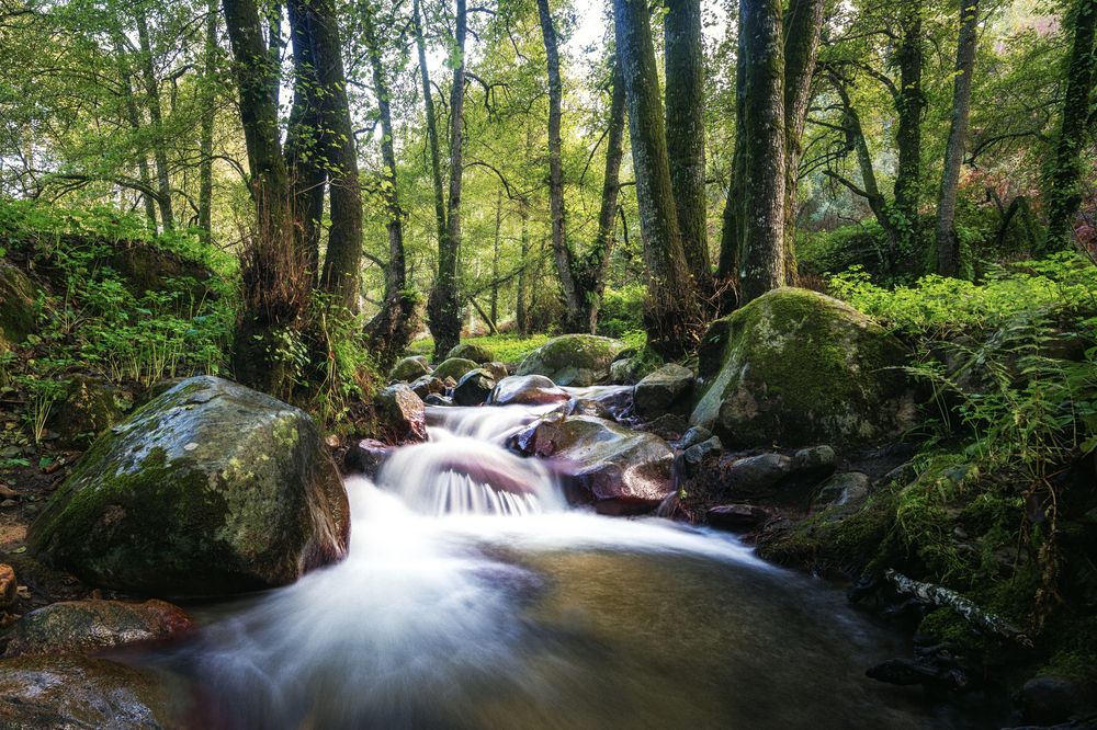 Photograph by Noureddine Belfethi