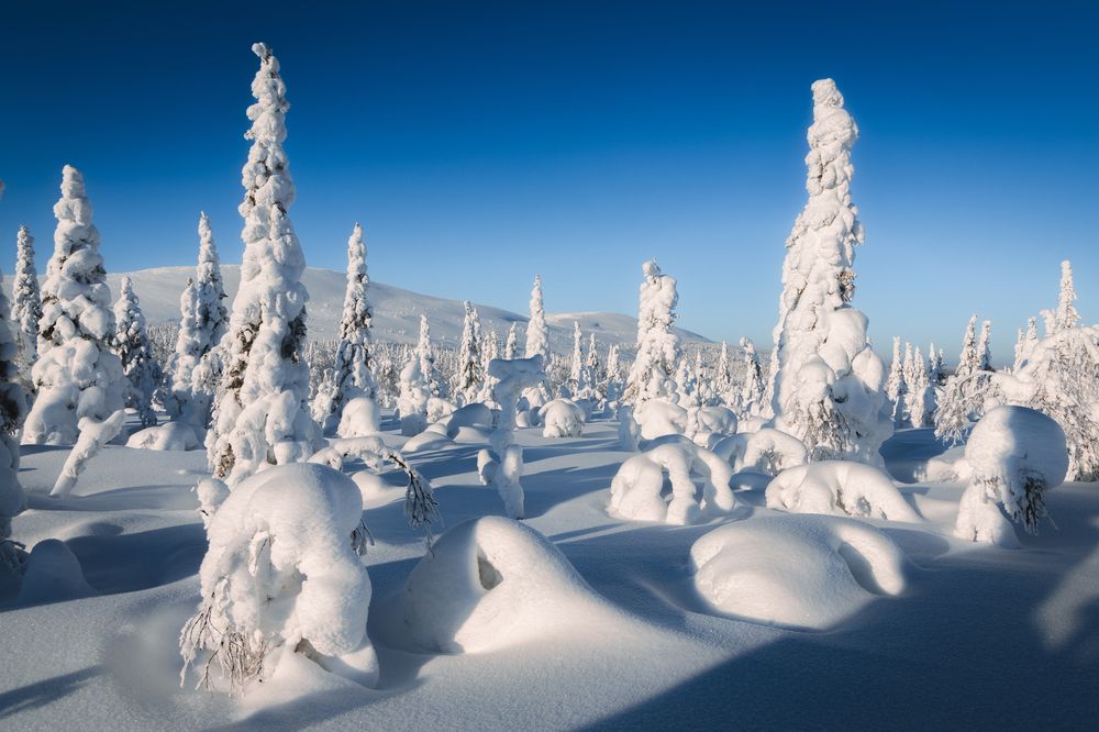 Фотография автора Вячеслав Бобин