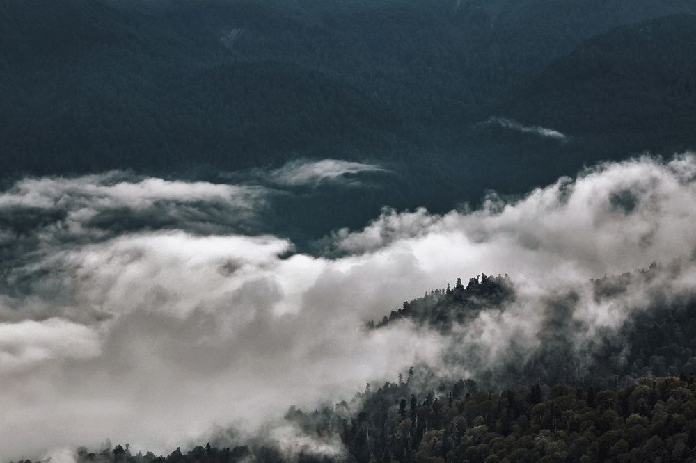 Photograph by Анна Демичева