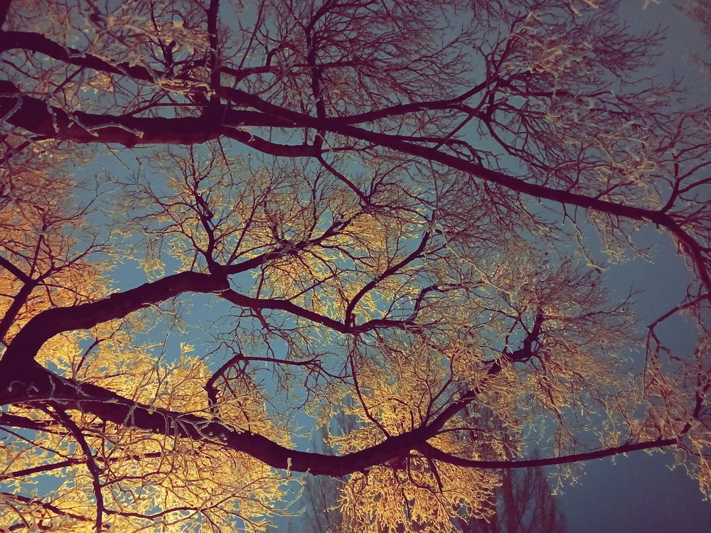 Фотография автора Юрий Звонарев