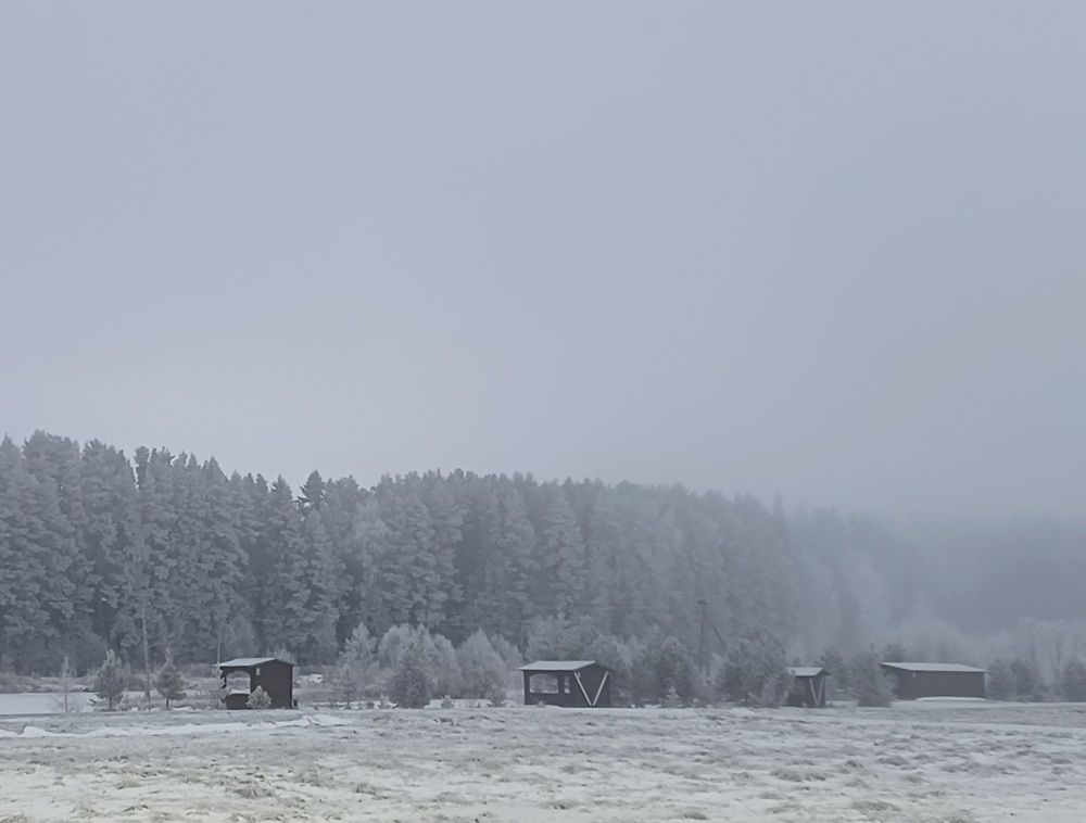 Photo #11846308