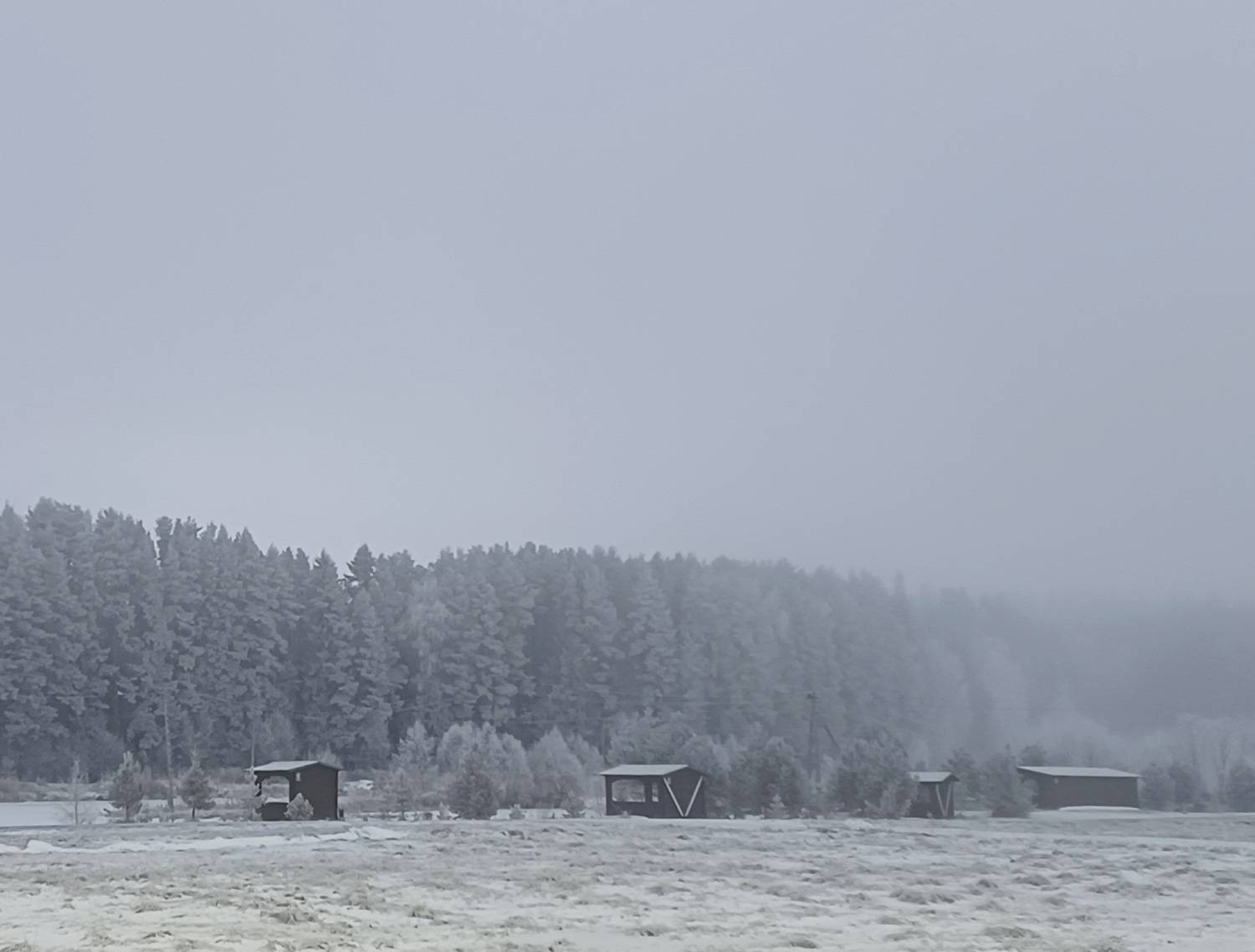 Photo #11846308