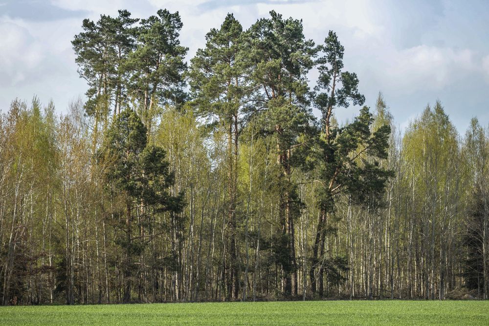 Photograph by Александр Евгеньевич Есликов