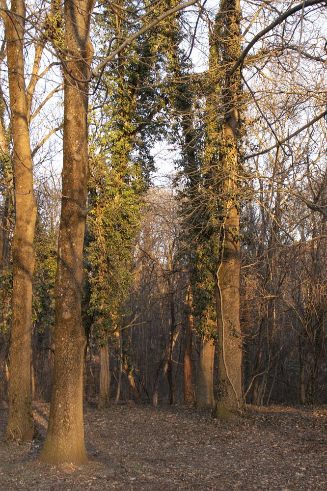 Photograph by Anna Gancheva