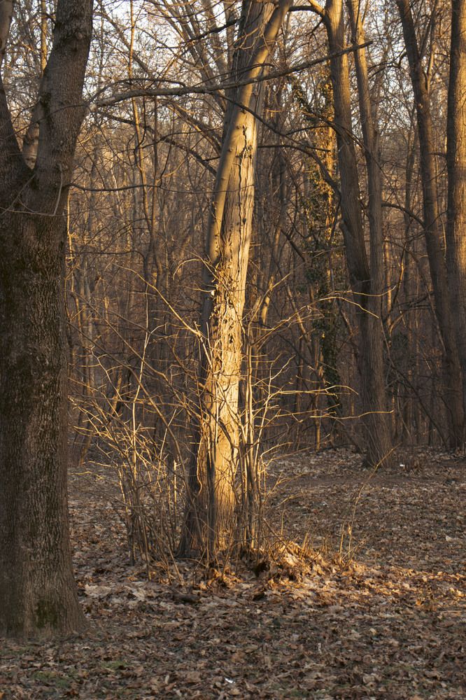 Photograph by Anna Gancheva