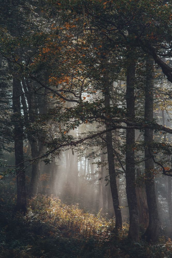 Photograph by Анна Демичева