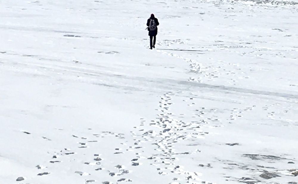 Фотография автора Gaurav Khosla