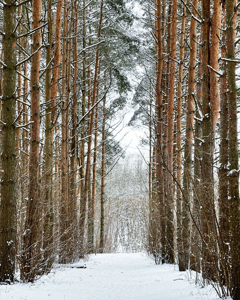 Фотография автора Алексан Арт