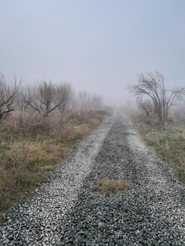 Photograph by Татьяна Ситникова