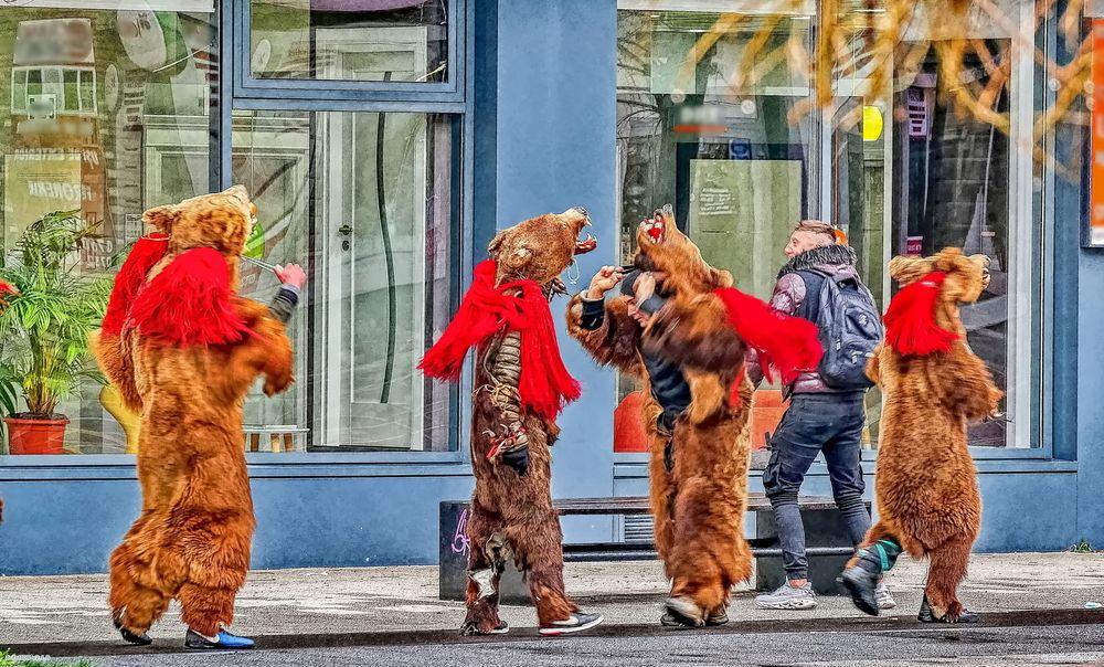 Photograph by Octavian Timosco