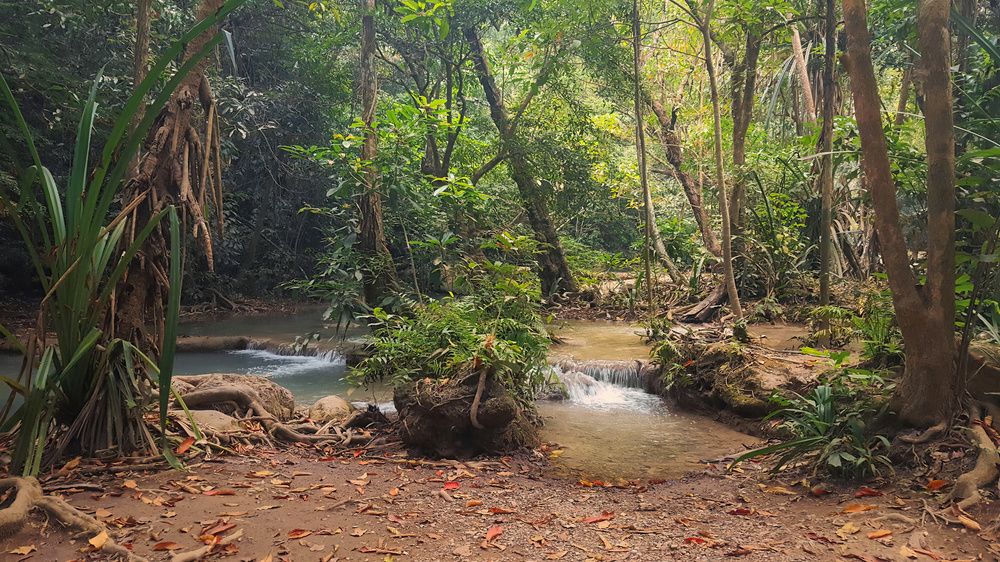 Photograph by Дудников Александр