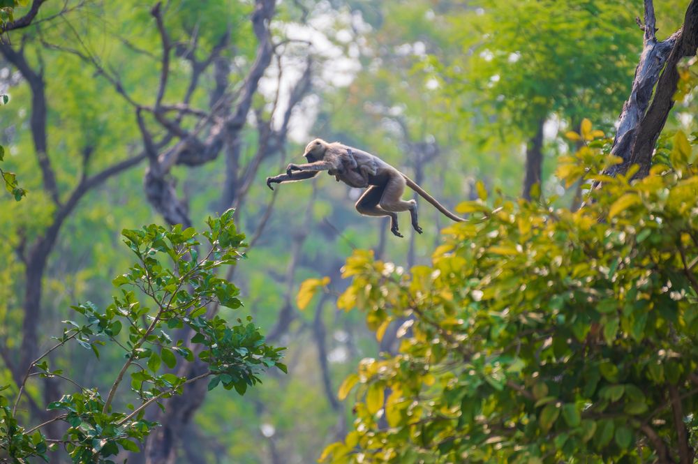 Photograph by Atul Sharma