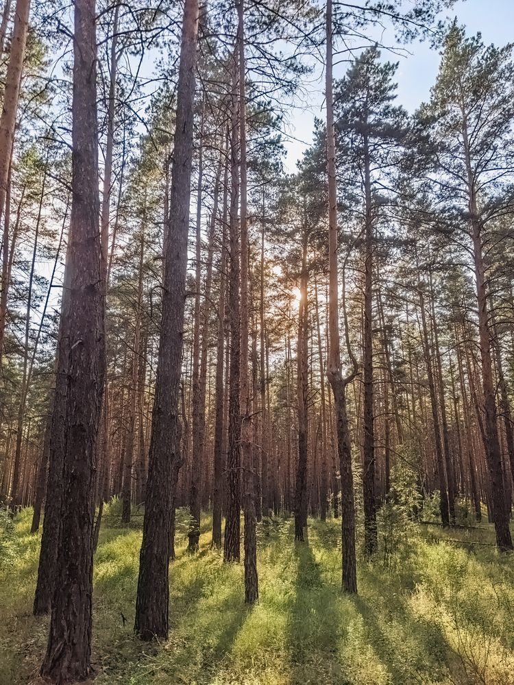 Photograph by Дудников Александр