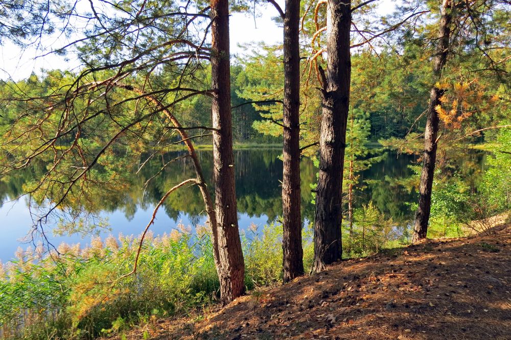 Photograph by Наташа Фишер