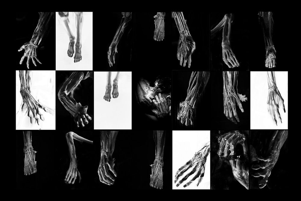 Photograph by Румен Сомов