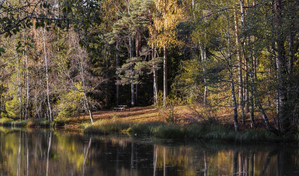 Photograph by Алена Ерошкина