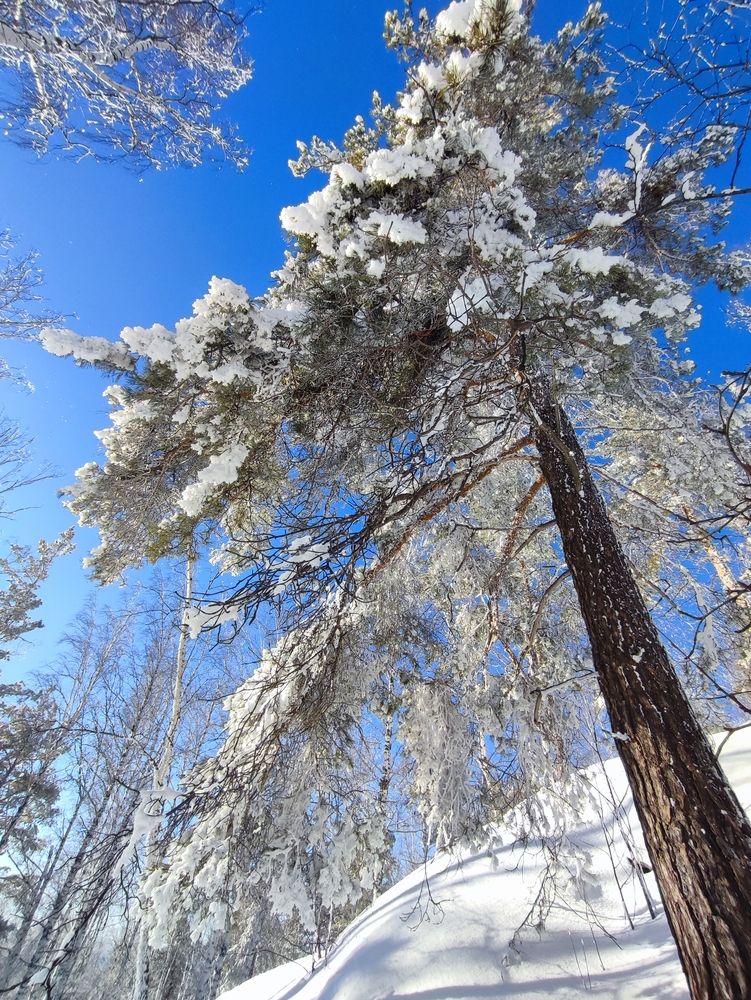 Photograph by Юлия Гинтер