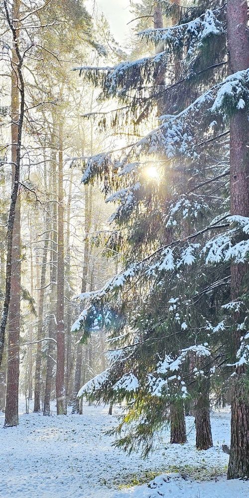 Photograph by Свиденцов Михаил