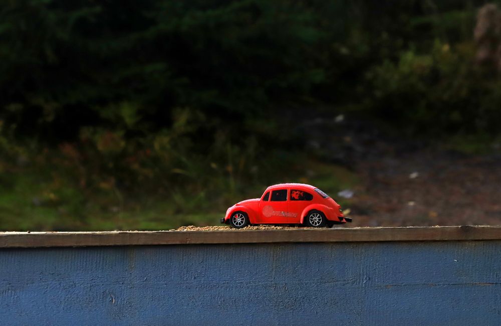 Photograph by елена