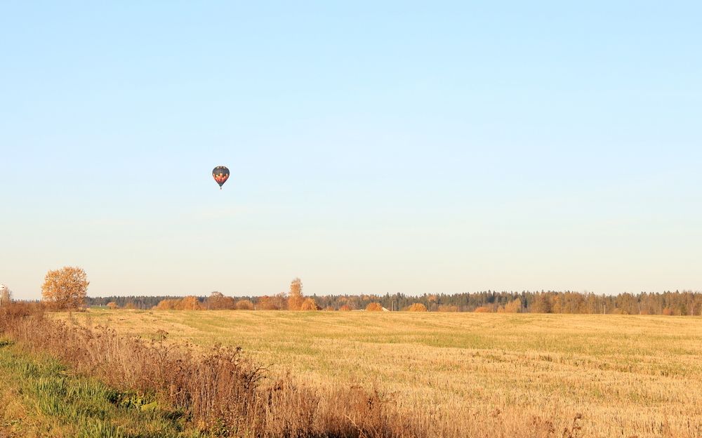 Photograph by елена