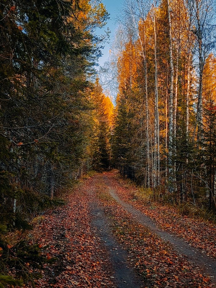 Photograph by Алёна Вороная