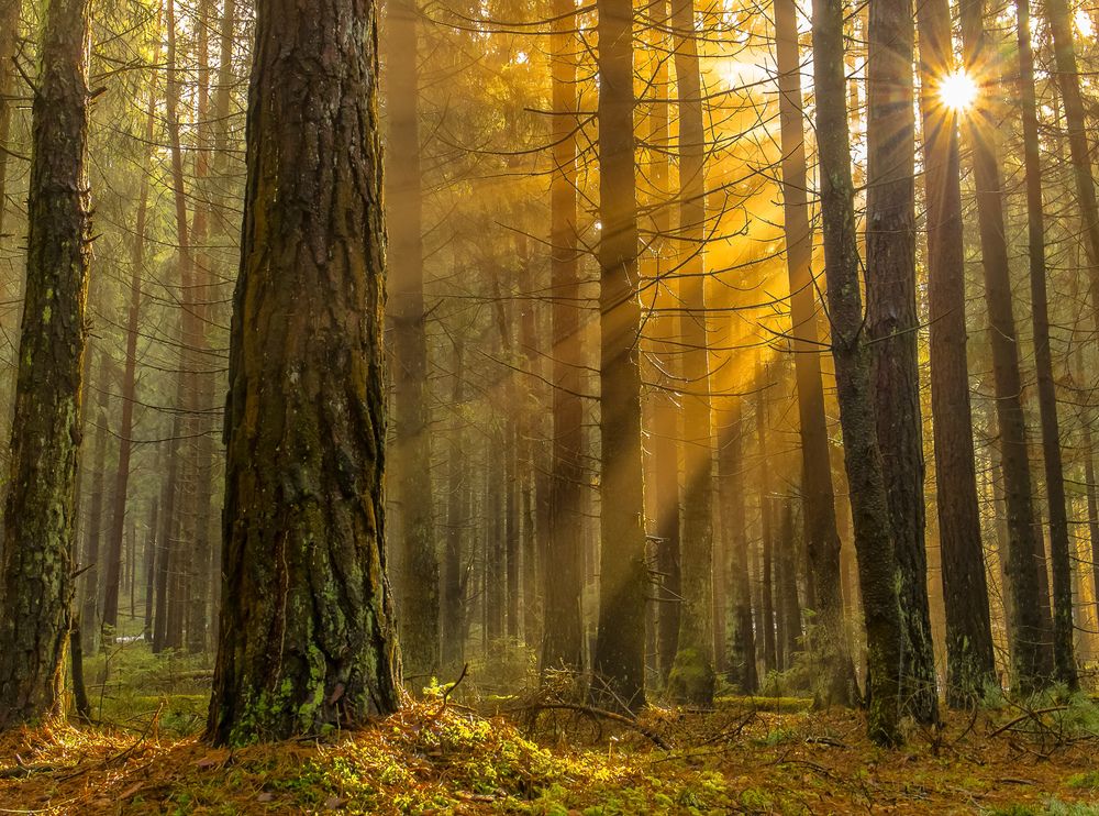 Photograph by Александр Евгеньевич Есликов