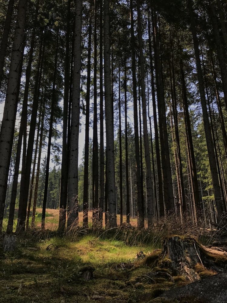 Фотография автора Наталия