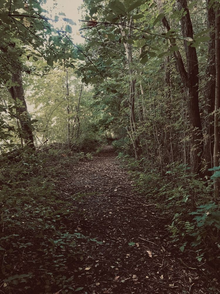 Фотография автора Наталия