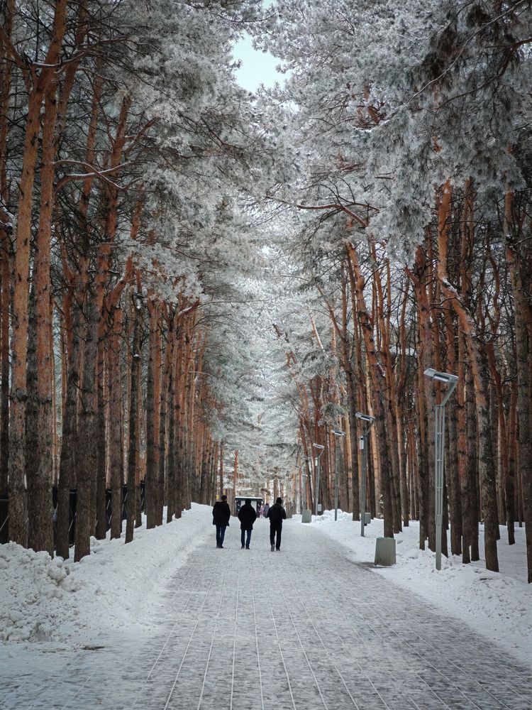 Photograph by Олега Тор