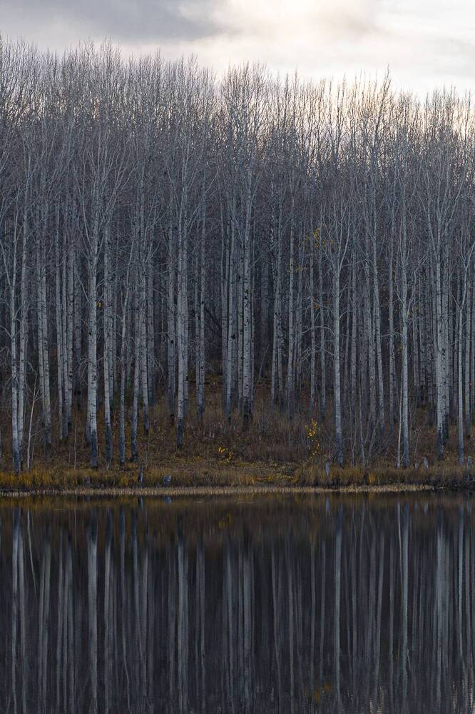 Photograph by Лактионов Анатолий