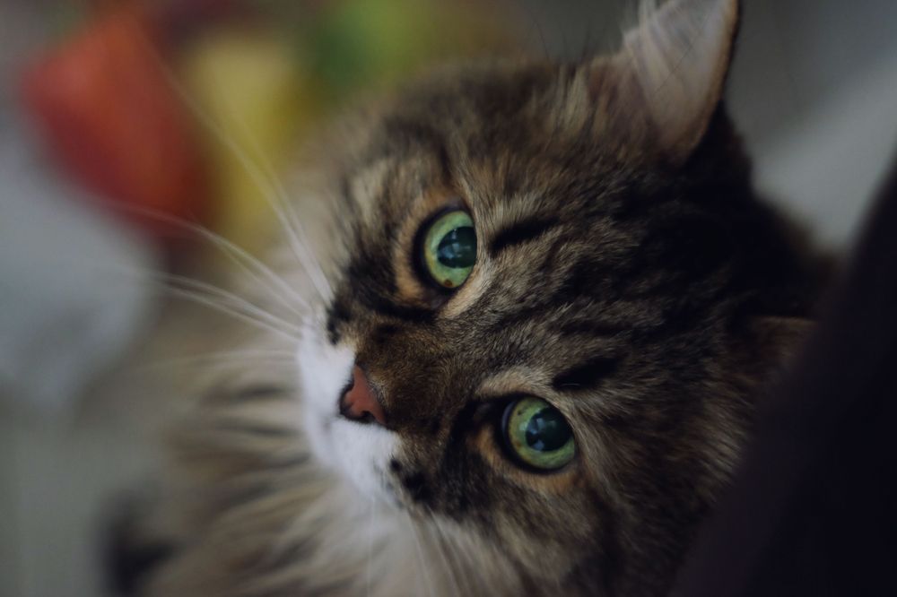 Photograph by Вадим Зрюев