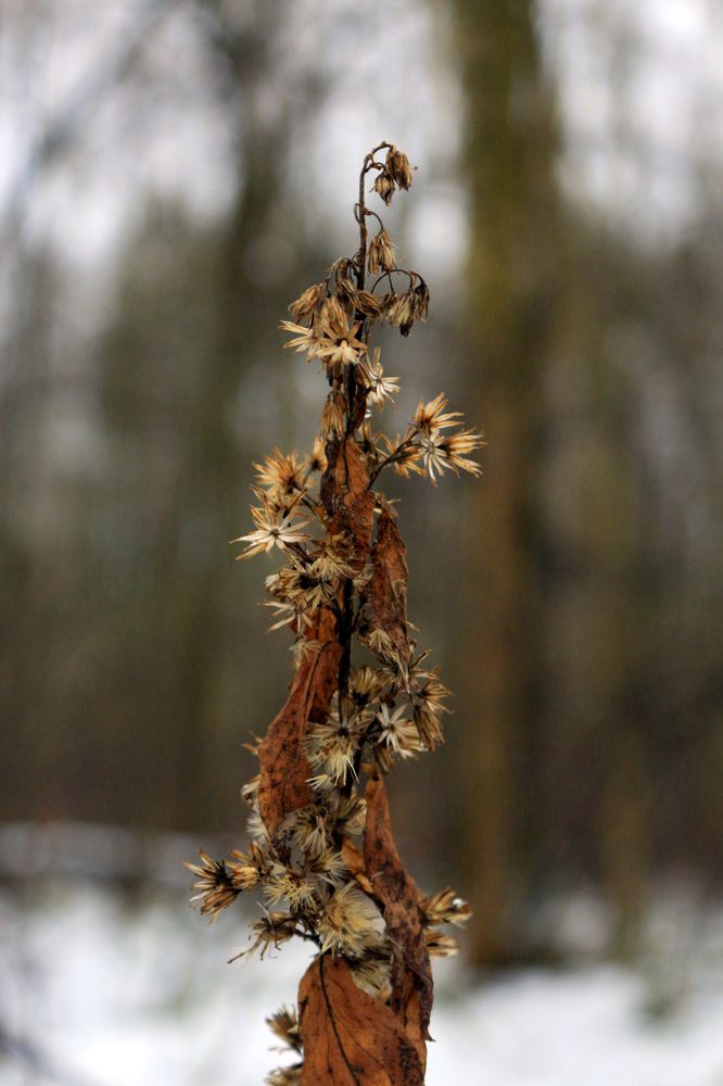 Photograph by Екатерина Иванова