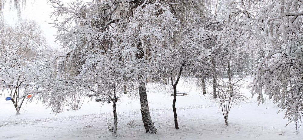 Фотография автора Рузинова Елена