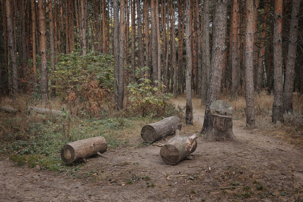 Photograph by Ольга Бакурская