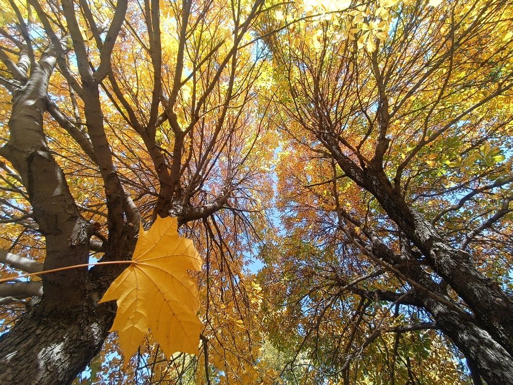 Photograph by Ангелина Воронцова