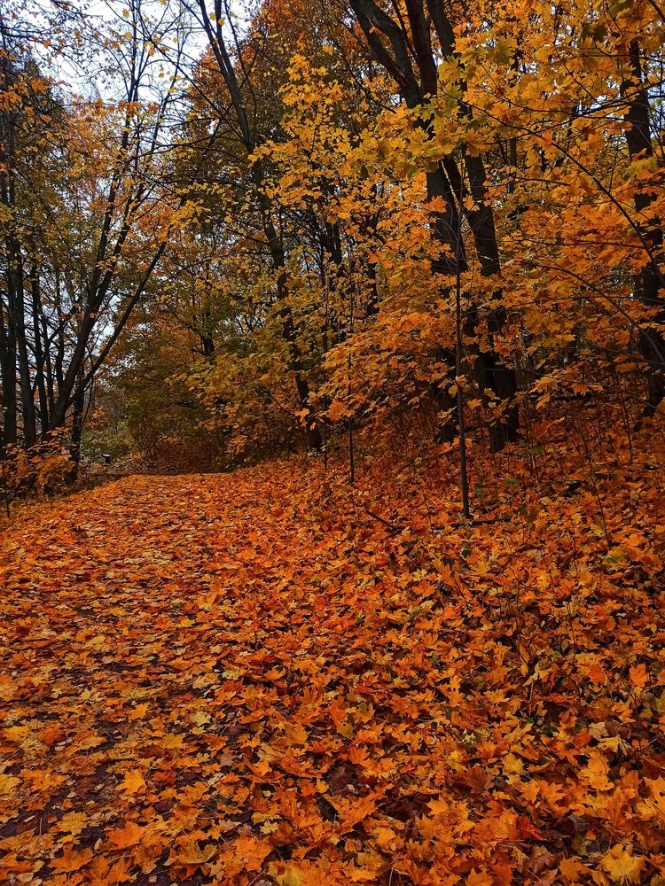 Photograph by Анна Давыдова