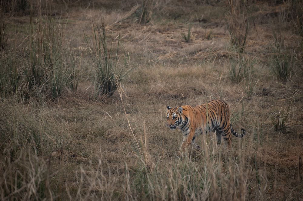 Photograph by Atul Sharma