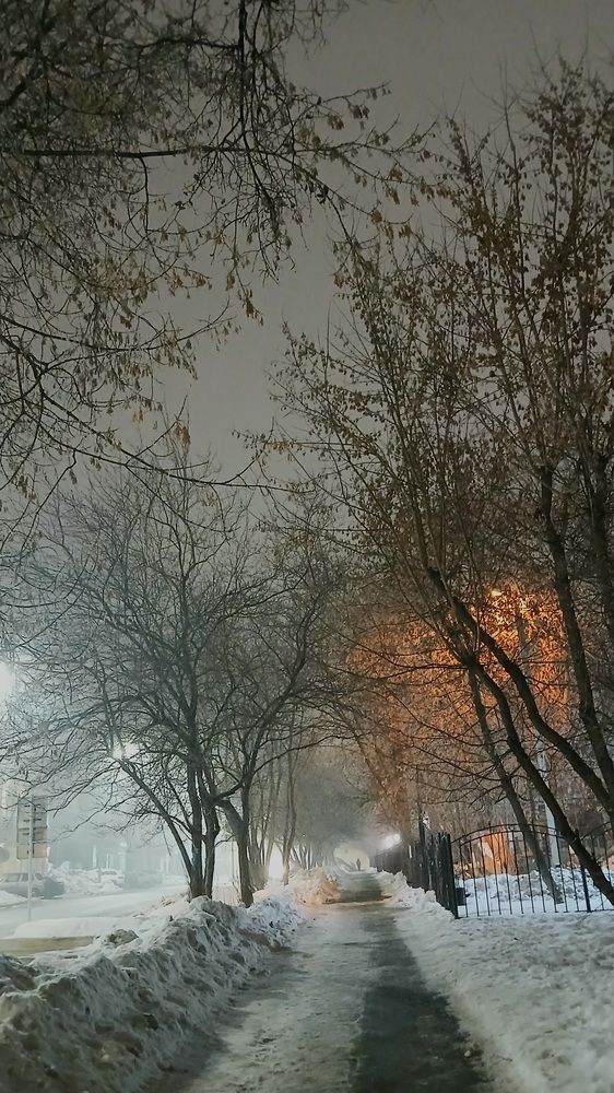 Photograph by Елена Дарьенко