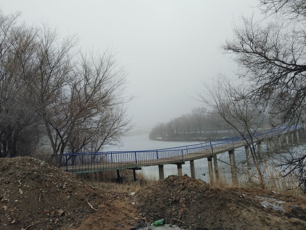 Photo #11846792